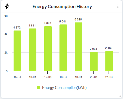 Energy Consumption History